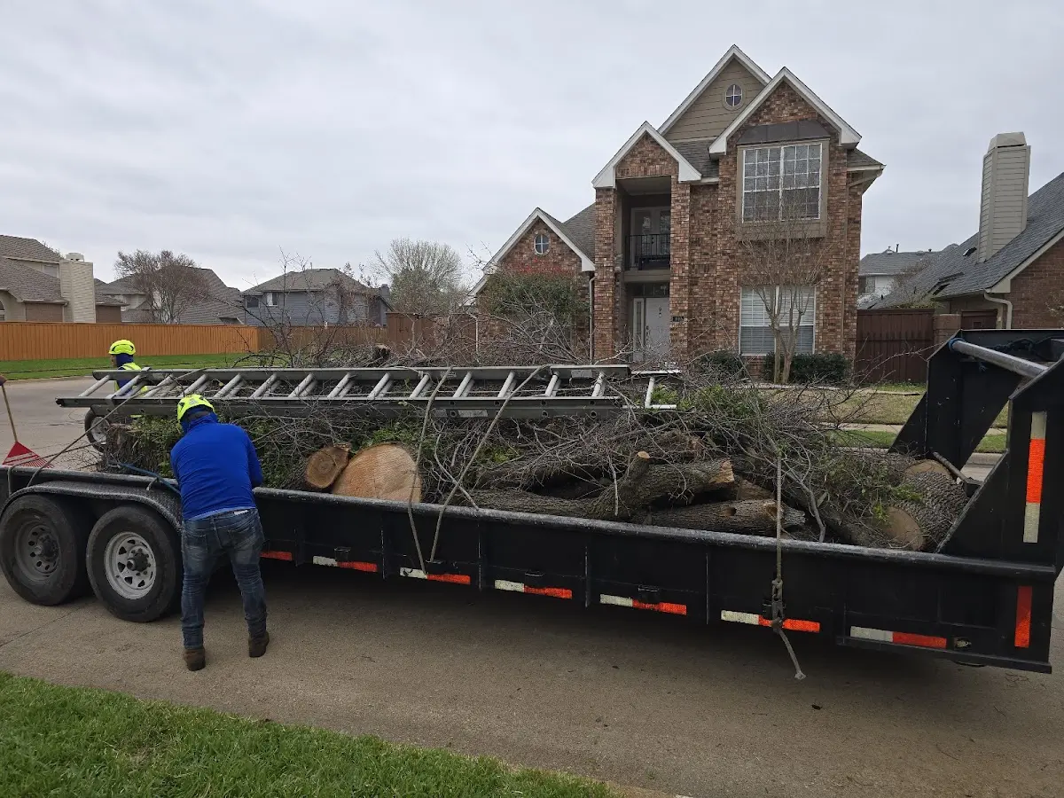 Expert Tree Fertilization with proper safety equipment in Whitesburg